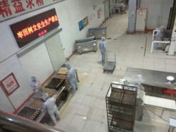 北京亲子好去处 义利食品厂体验中心地址、电话与营业时间指南